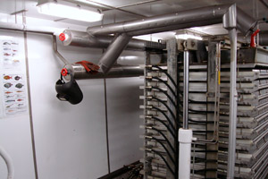 Insulation of refrigeration pipe work on plate freezers in fishing boat factory